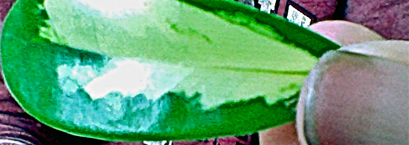 leaf3.png